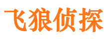 长清市调查公司